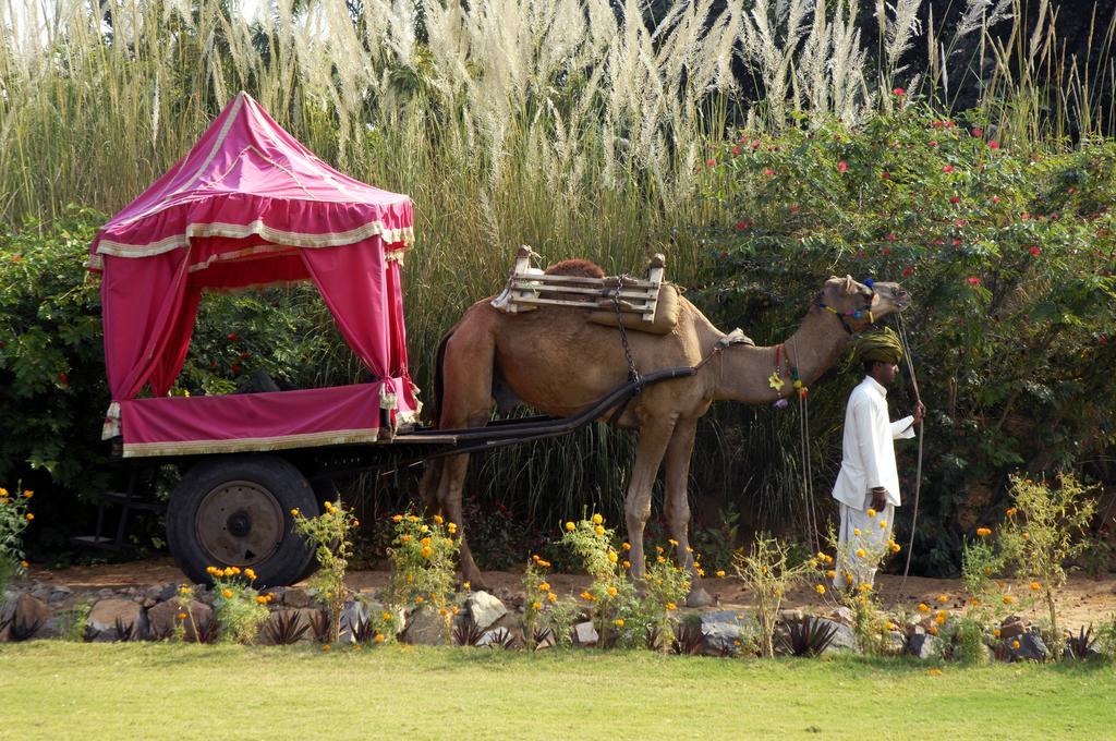Pushkar Resort Bagian luar foto