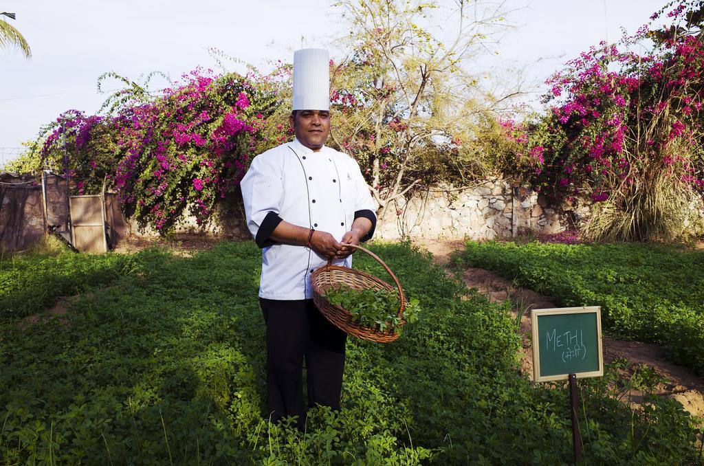 Pushkar Resort Bagian luar foto
