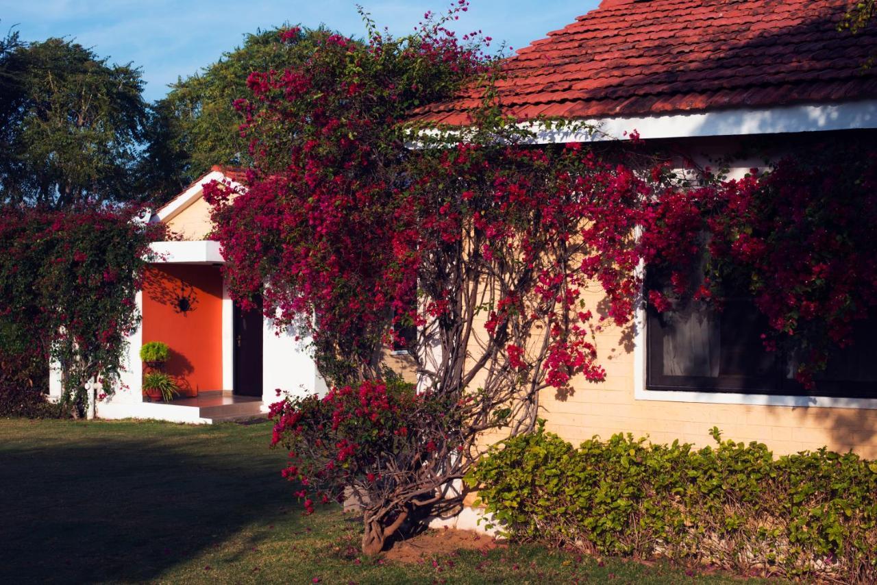 Pushkar Resort Bagian luar foto