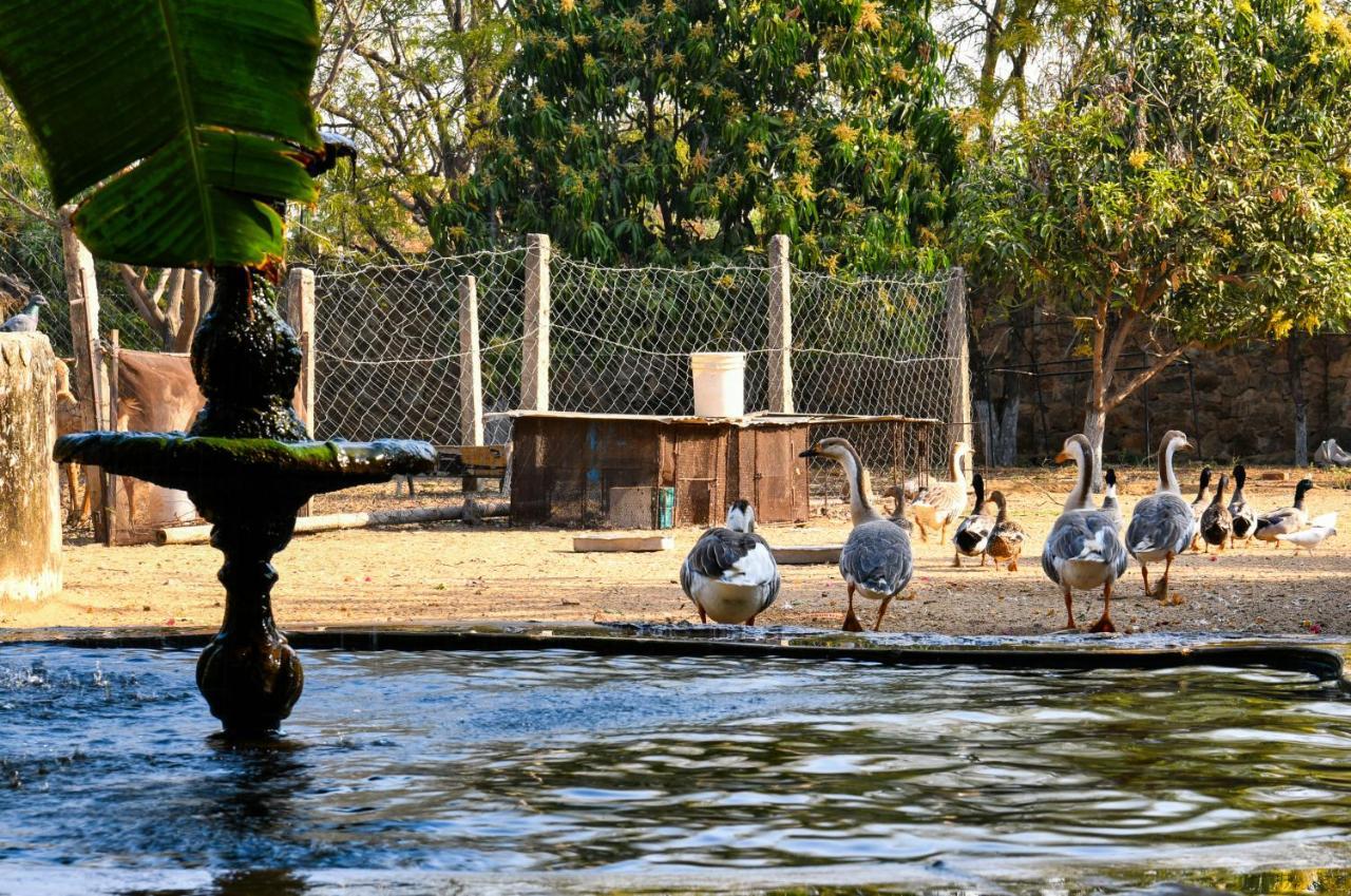 Pushkar Resort Bagian luar foto