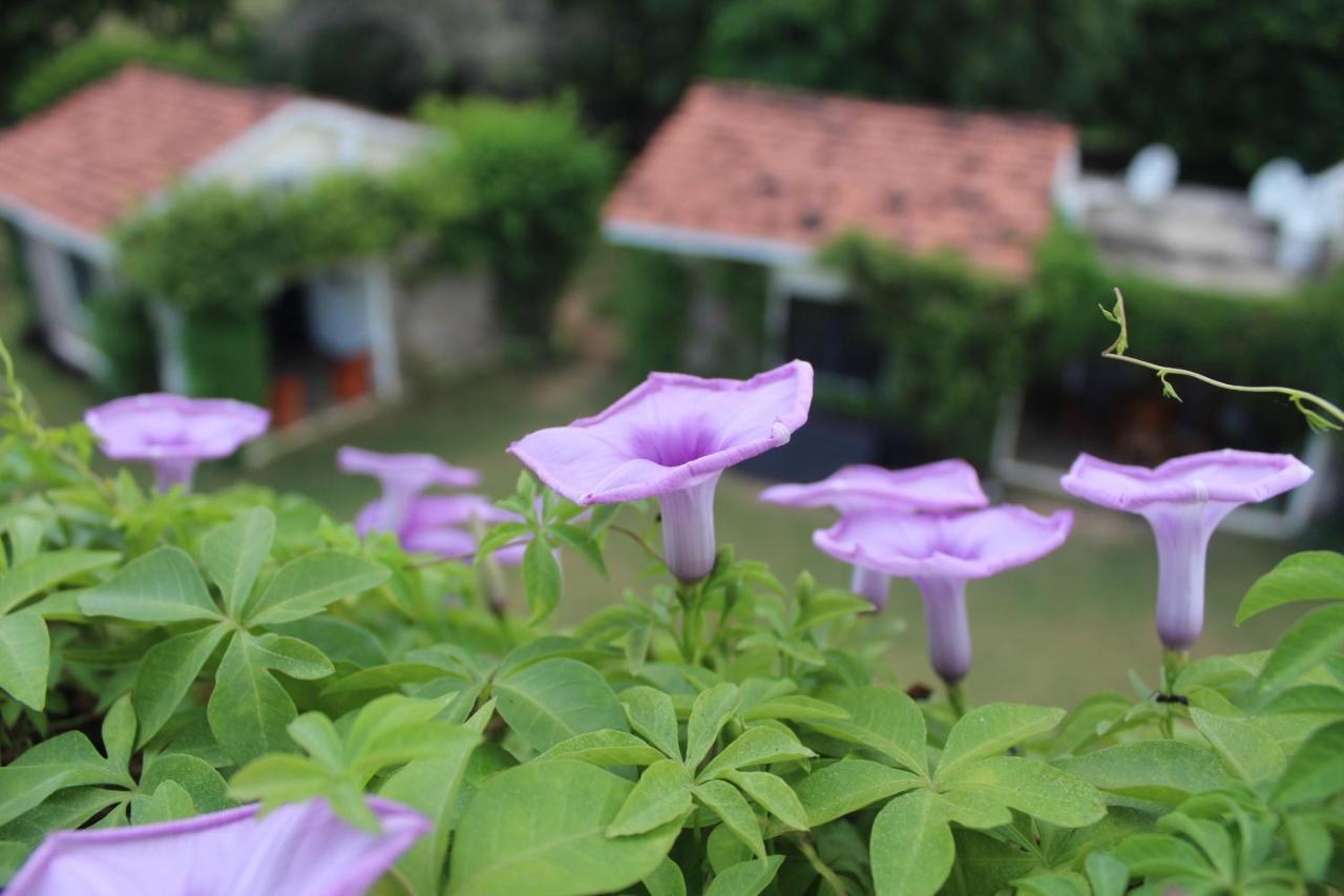 Pushkar Resort Bagian luar foto